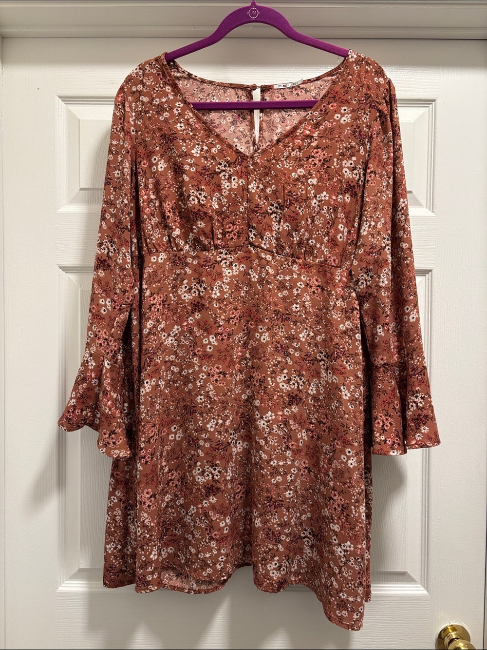 Floral V-Neck Long Sleeve Mini Dress